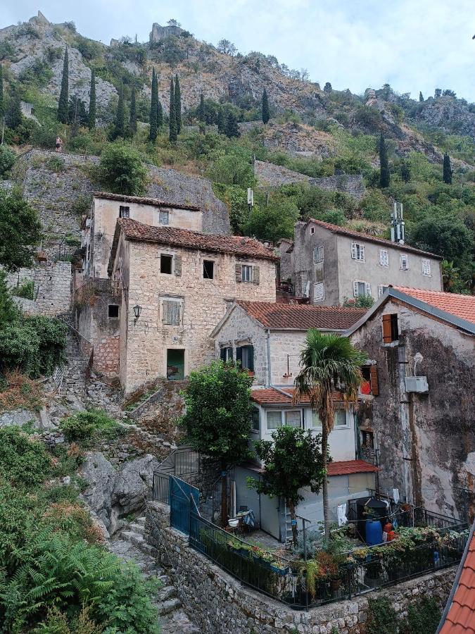 Guesthouse Bit Accommodation Kotor Exterior photo